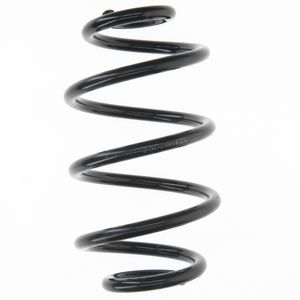 ESPIRAL TRASERO