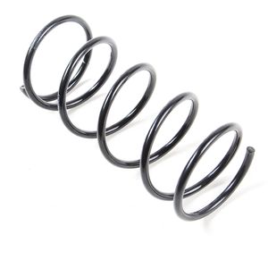 ESPIRAL TRASERO