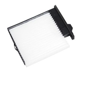FILTRO POLEN
