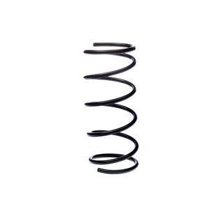 ESPIRAL TRASERO