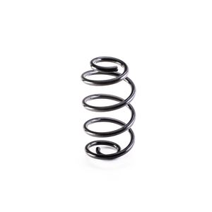 ESPIRAL TRASERO