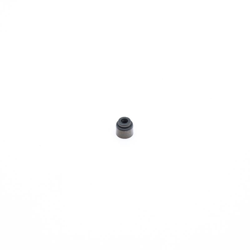 87R294