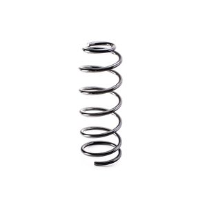ESPIRAL TRASERO
