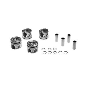 PISTON MOTOR 0.50