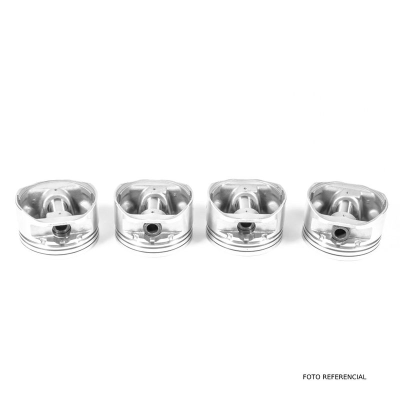 T1310158050K