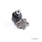 T4335029065C