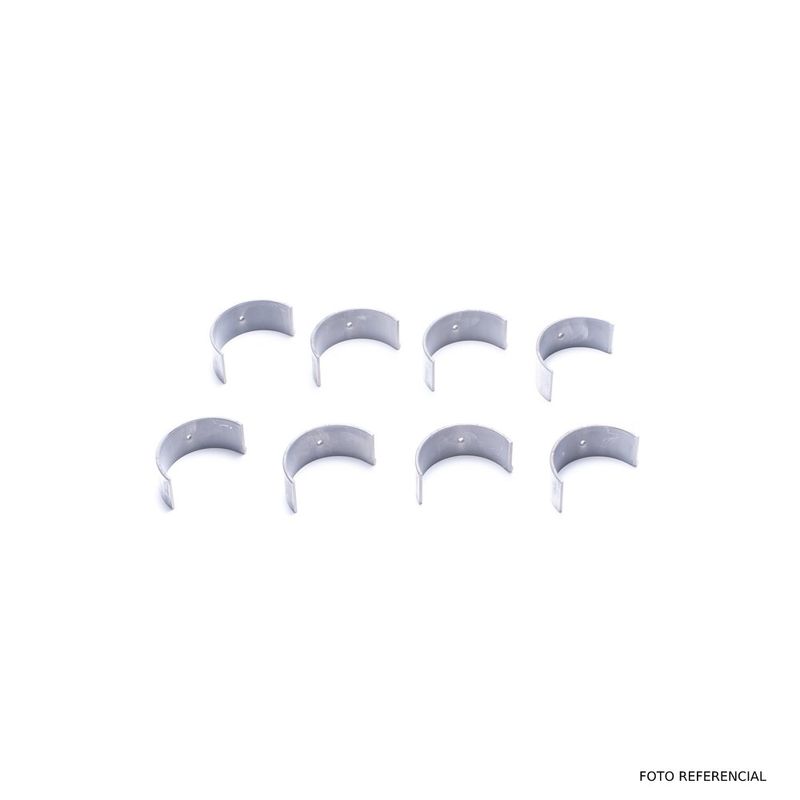 175031