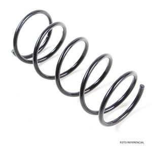ESPIRAL TRASERO