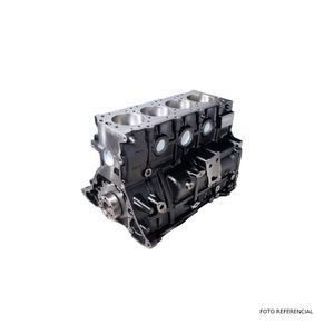 ENSAMBLE MOTOR