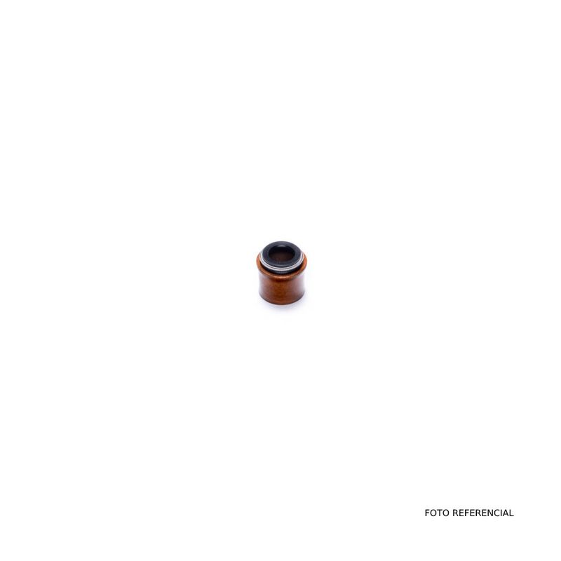 K00308882C