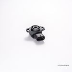 K03320175K