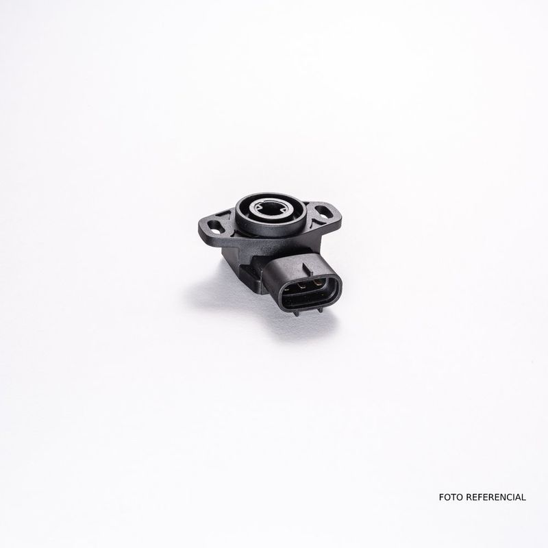 K03320175K