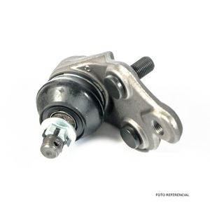 ROTULA INFERIOR