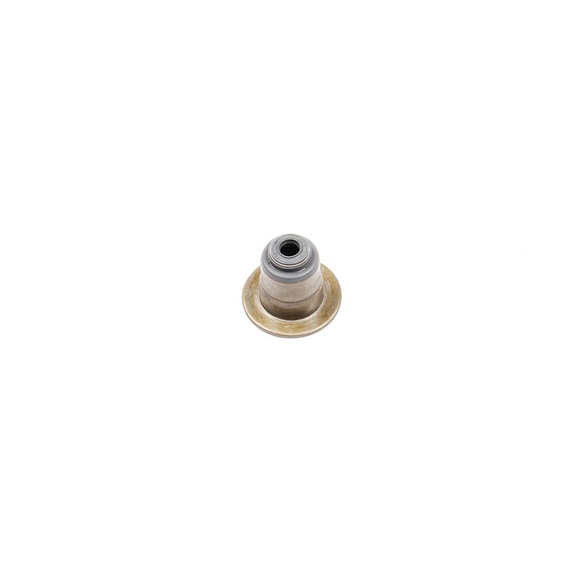K00308882T