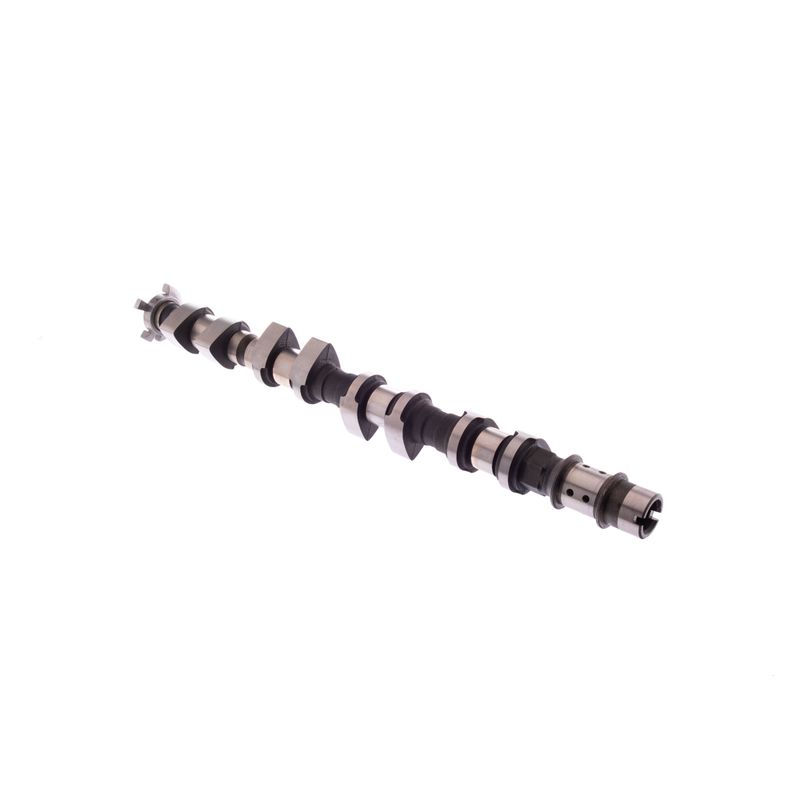 K00519390C