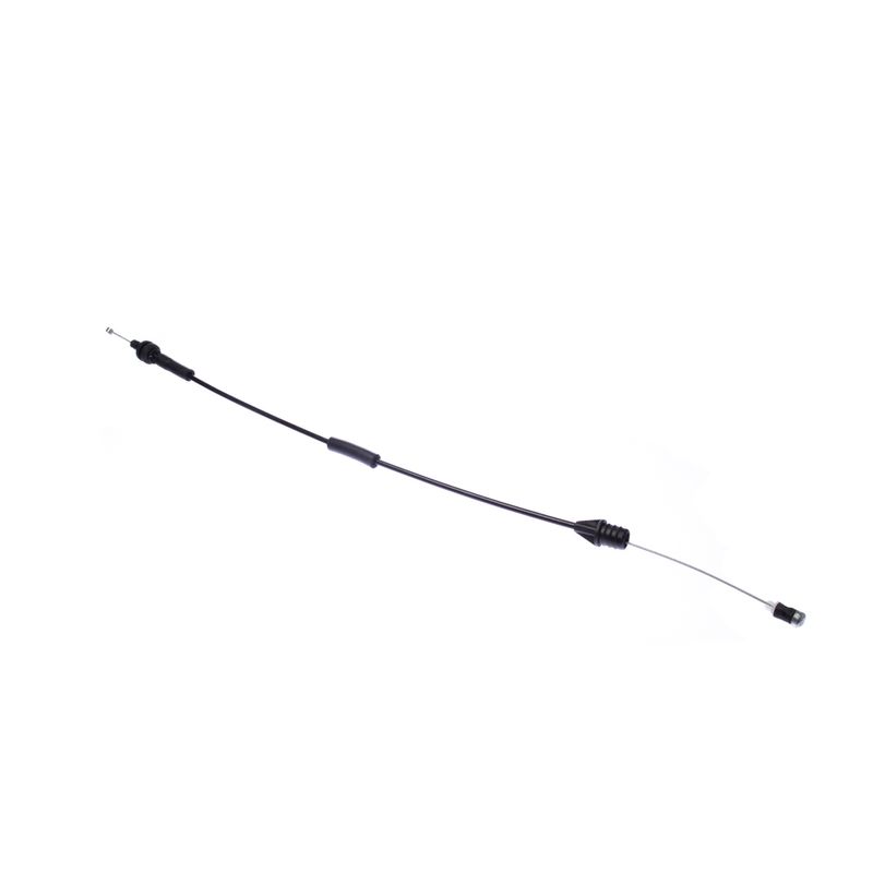 K03430069C