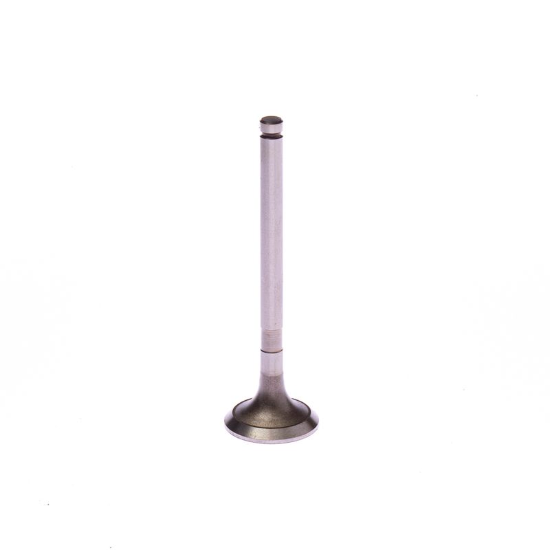 T1371556050J