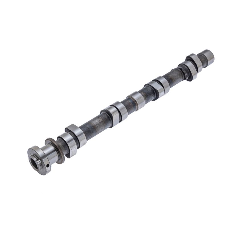 T1351138011C